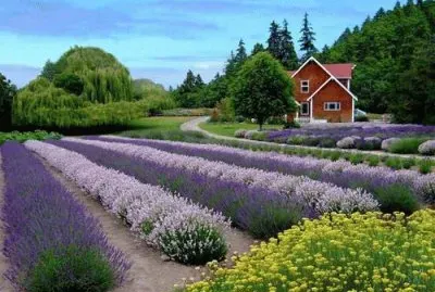 Lugares MÃ gicos !!!