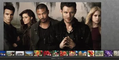 marcos_will jigsaw puzzle