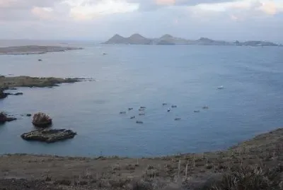 פאזל של Islas San Benito