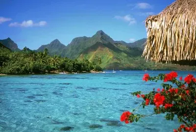 polynesia