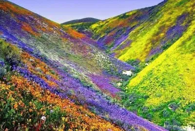 montaÃ±as de colores