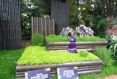 FLORES