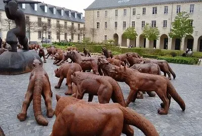 Les loups Ã  Quimper