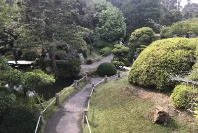 Japanese Tea â€˜s garden
