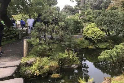 Japanese Teaâ€™s garden