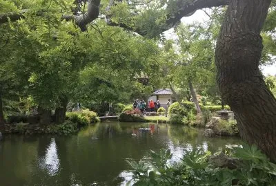 Japanese Teaâ€™s garden