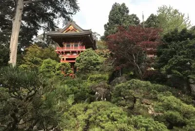 Japanese Teaâ€™s garden