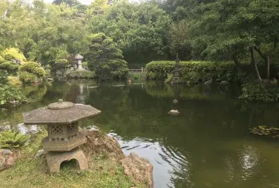 Japanese Teaâ€™s garden
