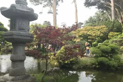 Japanese Teaâ€™s garden