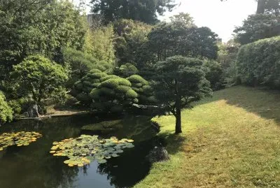 Japanese Teaâ€™s garden