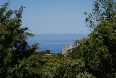 mariemonti