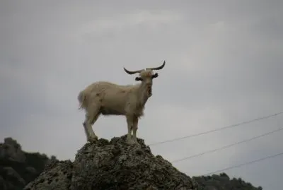 sempre piÃ¹ in alto