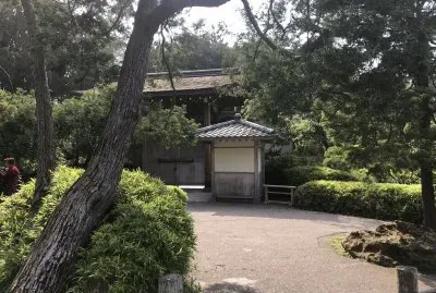 Japanese Teaâ€™s garden