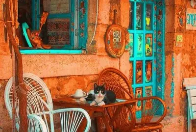 imagem jigsaw puzzle