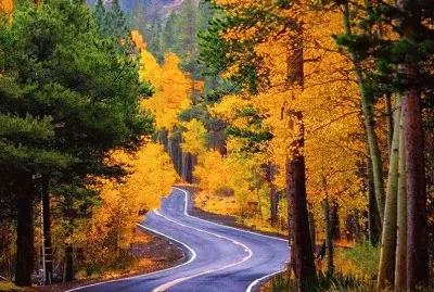 imagem jigsaw puzzle