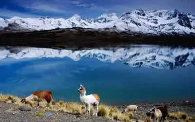 Paisaje Boliviano jigsaw puzzle