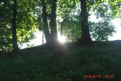 PARCO BELLONE