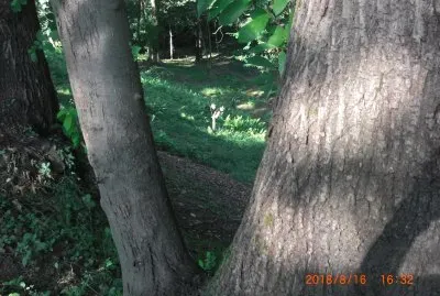 פאזל של PARCO BELLONE