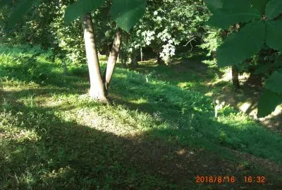 פאזל של PARCO BELLONE