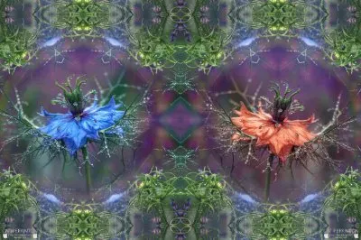 Flower kaleidascope