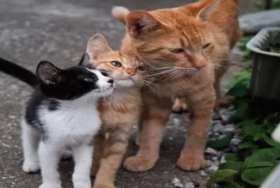 â™¥