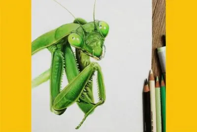 æ¾³æ´²è‰²é‰›ç­†ç•«å®¶Chloe O 'Shea jigsaw puzzle