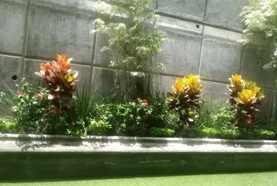 jardÃ­n