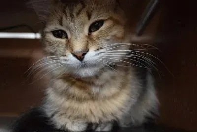 dcjdghvkjh jigsaw puzzle