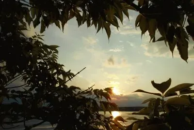 פאזל של Sunset over the river    L