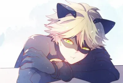 cat noir