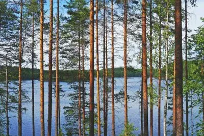 Lakeside