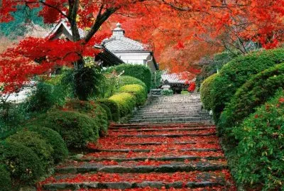 פאזל של paisaje hermoso