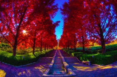 פאזל של paisaje hermoso