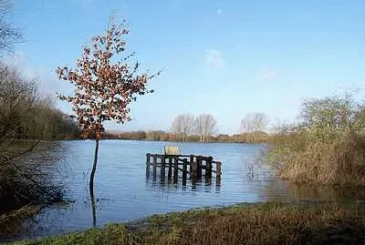 פאזל של St Chad 's Water