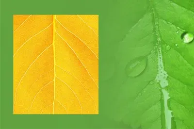 é›™è‰²çµ„åˆ jigsaw puzzle