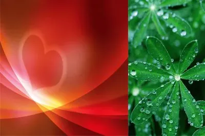 é›™èŠ±åœ– jigsaw puzzle