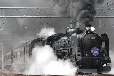 פאזל של trem