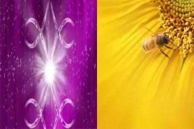 ç´«+é»ƒ jigsaw puzzle