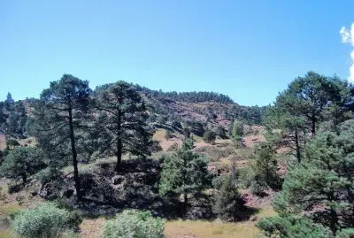 Sierra Tarahumara, Chihuahua.