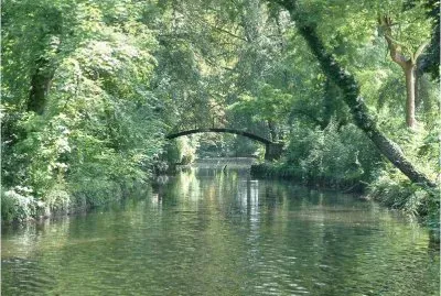 Verano jigsaw puzzle