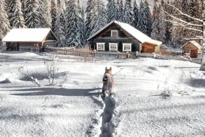 imagem jigsaw puzzle