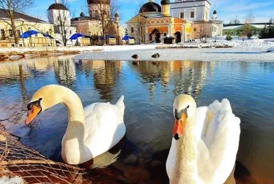 imagem jigsaw puzzle