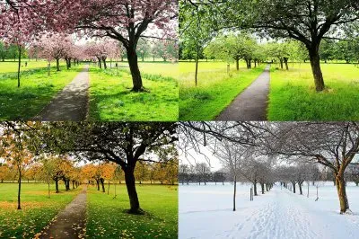 פאזל של seasons-193