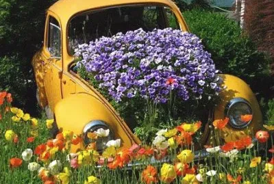 jardim de fusca