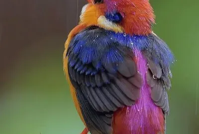 â™¥