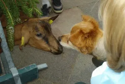 meeting jigsaw puzzle