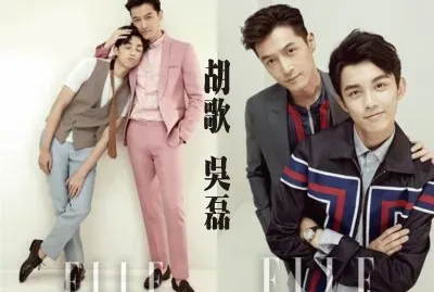 ä¸­åœ‹æ¼”å“¡èƒ¡æ­Œå³ç£Š