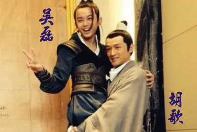 ä¸­åœ‹æ¼”å“¡èƒ¡æ­Œå³ç£Š jigsaw puzzle