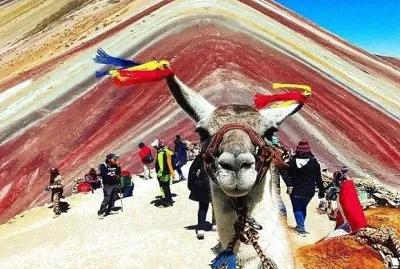 arcoiris jigsaw puzzle