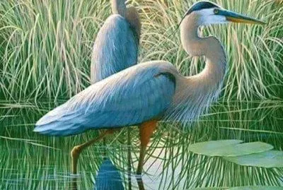 cranes